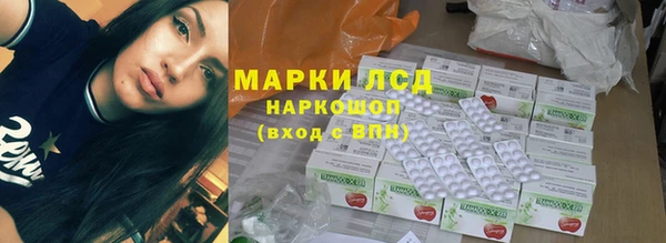 spice Богородск
