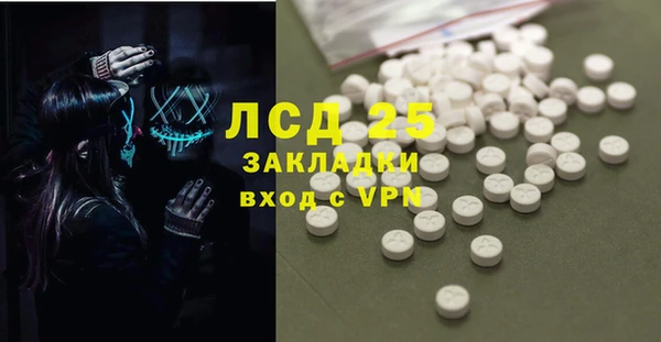 spice Богородск