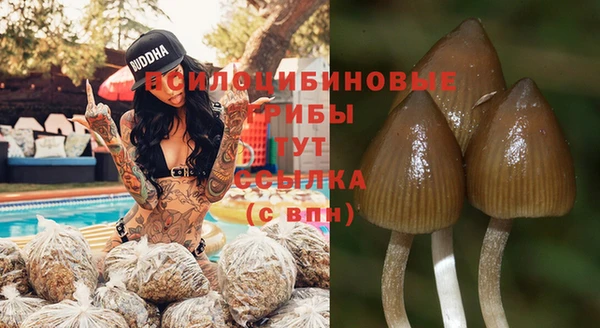 прущие крисы Богданович