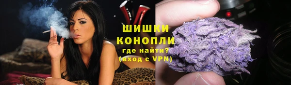 прущие крисы Богданович