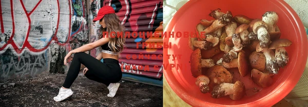 spice Богородск