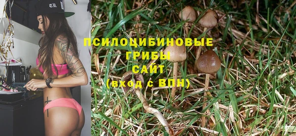spice Богородск